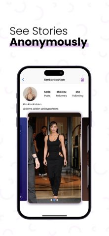 Anonym Stories for Insta для iOS — скриншот 1