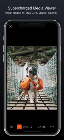Apollo for Reddit для iOS — скриншот 3