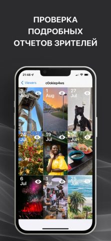 Archive+ Story Viewer Reports для iOS — скриншот 4