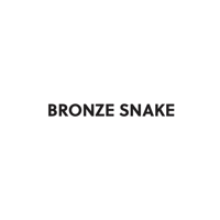BRONZE SNAKE для iOS