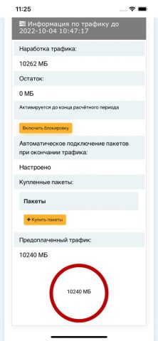 Babilon-T для iOS — скриншот 5