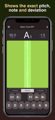 Басовый тюнер BT1 для iOS — скриншот 2