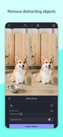 BeFunky для iOS — скриншот 5
