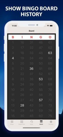 Bingo Caller at Home для iOS — скриншот 4