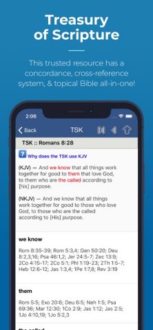 Blue Letter Bible для iOS — скриншот 3