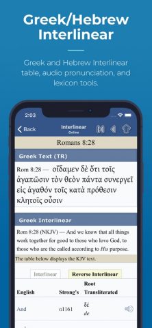 Blue Letter Bible для iOS — скриншот 4