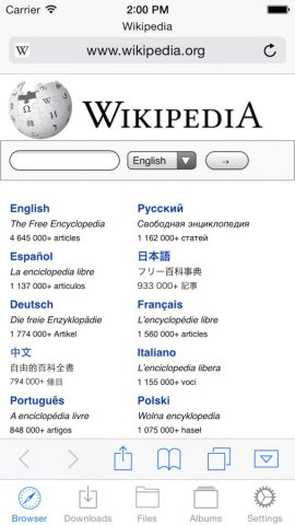 Browser & File Manager для iOS — скриншот 2