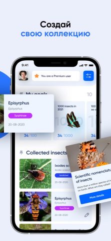 Bug ID: Определить насекомых для iOS — скриншот 1