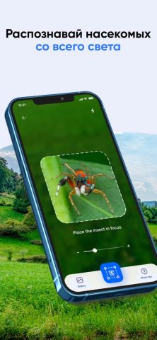 Bug ID: Определить насекомых для iOS — скриншот 3