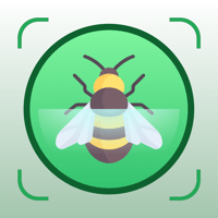 Bug Sound Identifier Insect ID для iOS