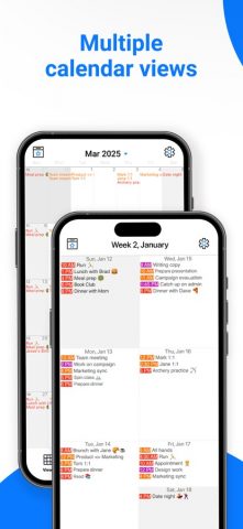 Calendar All-In-One Planner для iOS — скриншот 2