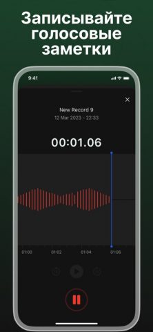 Call recorder — Rink для iOS — скриншот 4