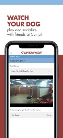 Camp Bow Wow для iOS — скриншот 5
