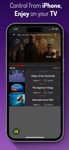 Cast Web Videos to Roku TV для iOS — скриншот 4