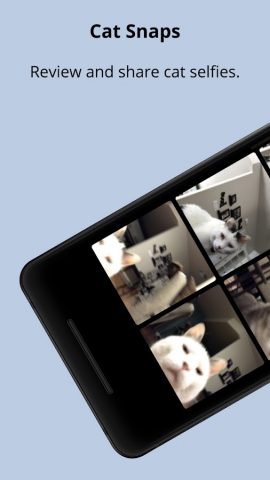 Cat Snaps — Make Cat Selfies для Android — скриншот 4