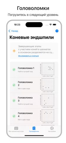 ChessBot для iOS — скриншот 5
