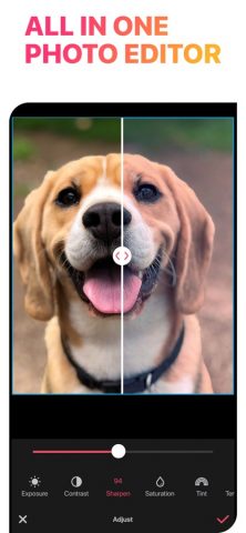 Collage Maker — LiveCollage для iOS — скриншот 4