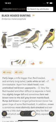Collins Bird Guide для iOS — скриншот 3