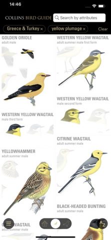 Collins Bird Guide для iOS — скриншот 5