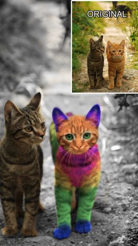 Color Effects — Photo Editor для iOS — скриншот 3