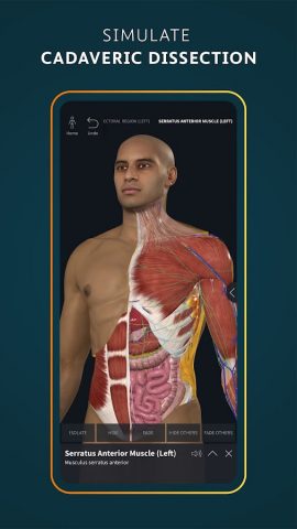 Complete Anatomy — Learn in 3D для Android — скриншот 2