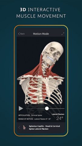 Complete Anatomy — Learn in 3D для Android — скриншот 3