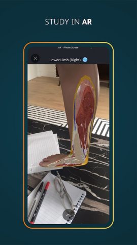 Complete Anatomy — Learn in 3D для Android — скриншот 4