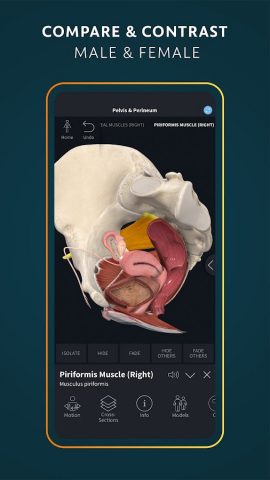 Complete Anatomy — Learn in 3D для Android — скриншот 5