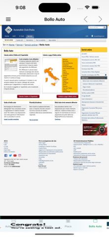 Controllo Targa для iOS — скриншот 3