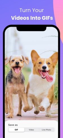 Convert: GIF Maker & Wallpaper для iOS — скриншот 2