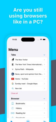 Cookie Web Browser Private для iOS — скриншот 1