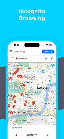Cookie Web Browser Private для iOS — скриншот 2