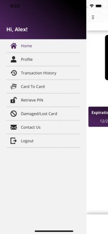 CosmoPayment — скриншот 1