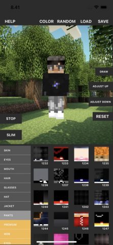 Custom Skin Creator для iOS — скриншот 4