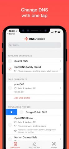 DNS Override — скриншот 1