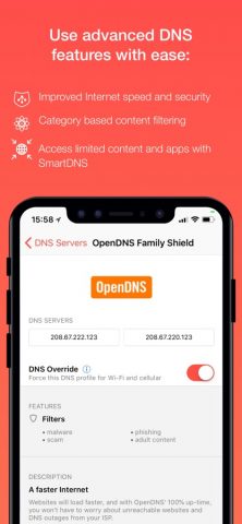 DNS Override — скриншот 2