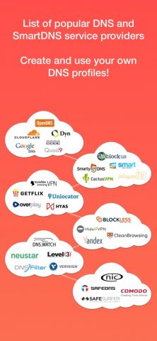 DNS Override — скриншот 4