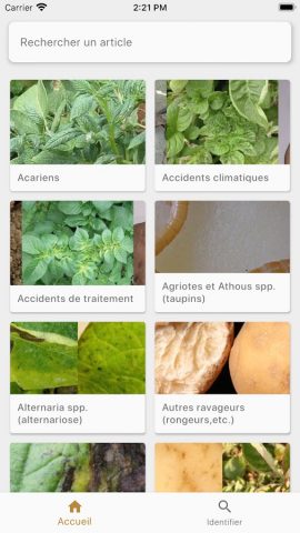 Di@gPot для Android — скриншот 2