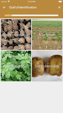 Di@gPot для Android — скриншот 3