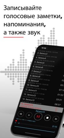 Диктофон — Для Записи Звука для iOS — скриншот 1