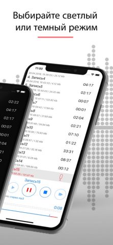 Диктофон — Для Записи Звука для iOS — скриншот 2