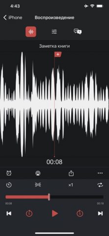Диктофон Pro для iOS — скриншот 2