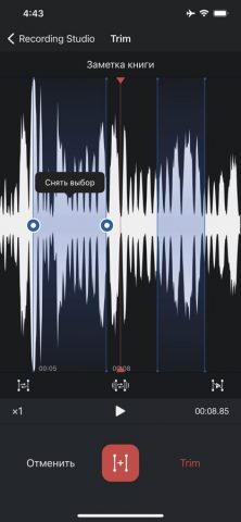 Диктофон Pro для iOS — скриншот 3