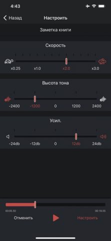 Диктофон Pro для iOS — скриншот 4