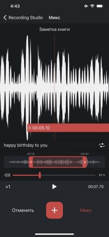 Диктофон Pro для iOS — скриншот 5