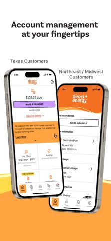 Direct Energy Account Manager для iOS — скриншот 1