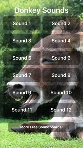 Donkey Sounds! для iOS — скриншот 1