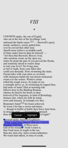 Ebook Reader для iOS — скриншот 4