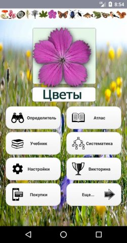 ЭкоГид: Цветы – Определитель для Android — скриншот 1