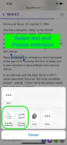 Eng-Mm Dictionary для iOS — скриншот 5